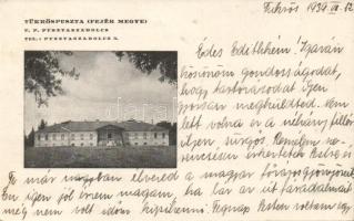 Tükröspuszta, kastély