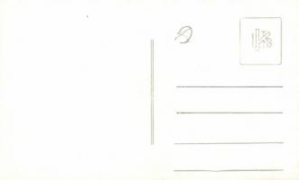 Csákvár, Geszner-ház