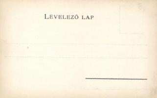 Csanád vármegye / county map