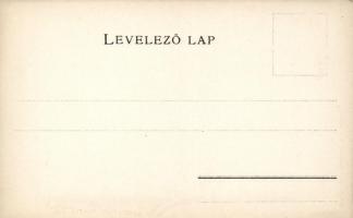 Máramaros vármegye / county map