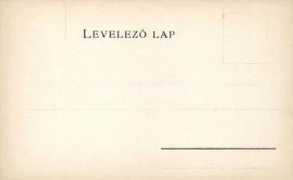 Budapest és környéke térkép / map