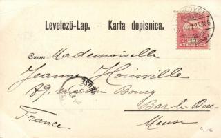 Vinkovci, Vinkovce; Hotel Bresslauer, Svratiste Lehrner / hotel, Lehrner's inn, floral (EB)