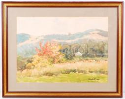 Felcsúti János: Mátraszentimre. Akvarell, papír, jelzett, üvegezett keretben, 32×46 cm