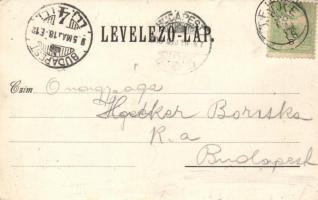 Tenke; Schlesinger Károly kiadása