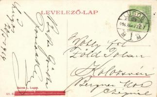 Lugos, Törvényszék; Berecz J. kiadása / court