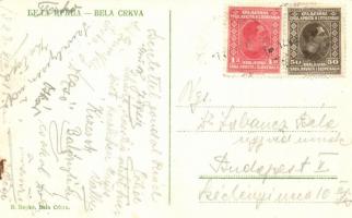 Fehértemplom, Bela Crkva; library