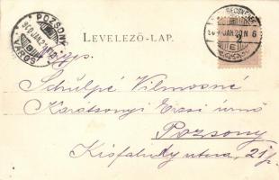 Nagybecskerek, Art Nouveau; Schenk H. kiadása