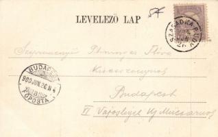 Szabadka, Törvényszék; Víg Zsigmond Sándor kiadása / court