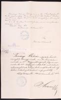 1887 Bp., Szolgálaton kívülre szóló helyezésről szóló okmány Turcsányi Kálmán részére Báró Fejérváry...