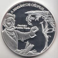 DN. "Nemzetünk nagyjai - Csontváry Kosztka Tivadar" Ag emlékérem (10,37g/0.999) T:PP Tanúsítvánnyal!