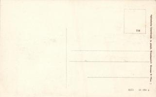 Stralsund Trajektschiff Putbus mit dem D-Zuge / train ferry