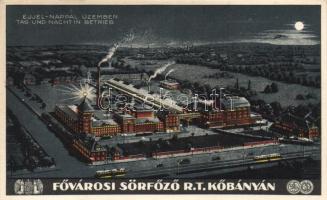 Budapest X. Fővárosi Sörfőző Rt. Kőbányán; Weiss L. és F. Műintézet