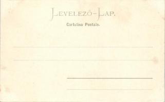 Fiume Via del Molo / port, steamship