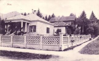 Brassó, Noa (EK)