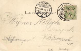 Balatonföldvár, Bendegúz szálloda, Zrínyi szálloda, floral