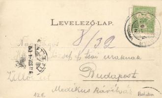 Balatonföldvár, part