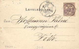 Göd, Felső nyaralótelep, vasútállomás (EK)