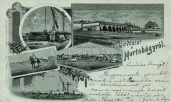 Hortobágy, litho (ázott / wet damage)