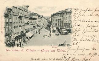 Trieste, corso, shop of Adolfo Seisser