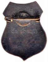 1872. "Kolozsvári Iparosegylet Daloskara" zománcozott jelvény (32x25mm) T:2
Hungary 1872. ...