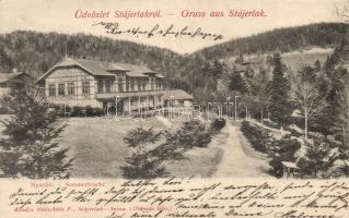 Stájerlak, nyaraló / villa