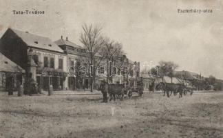 Tata-Tóváros, Eszterházy utca, Hütner Jenő kereskedése; Lindenberg Adolf kiadása