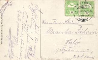 Tata-Tóváros, Eszterházy utca, Hütner Jenő kereskedése; Lindenberg Adolf kiadása