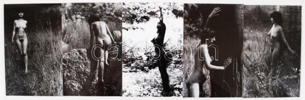 1960-1970 Erotikus fotók, 21 db /
Erotic photos, 9x14 cm