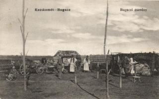 Bugaci cserény; Szél Nándor kiadása