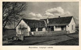 Majosháza, Csöpögő csárda