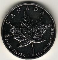 Kanada 1990. 1$/oz Ag T:1