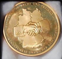 NSZK 1990. "Német Egység" aranyozott nagy Br plakett eredeti darabbal a berlini falból! Ta...