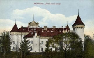 Nagykároly Károlyi kastély / castle