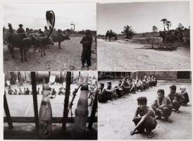 1980 Fotók Kolonits Ilona filmrendező fotóarchívumából, a Túlélők, életköszöntő című filmjének forgatási helyszínéről (Kambodzsa, Vietnam), 13x18 cm.