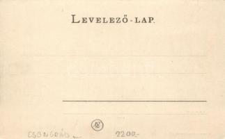 Szeged, Közúti híd