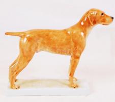 Herendi Maugsch vizsla, kézzel festett, jelzett, hibátlan, m:18, h:23 cm / Herend Maugsch dog, hand ...