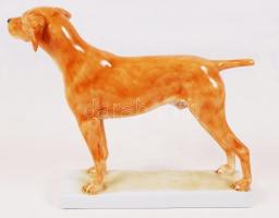 Herendi Maugsch vizsla, kézzel festett, jelzett, hibátlan, m:18, h:23 cm / Herend Maugsch dog, hand ...
