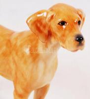 Herendi Maugsch vizsla, kézzel festett, jelzett, hibátlan, m:18, h:23 cm / Herend Maugsch dog, hand ...