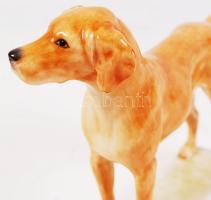 Herendi Maugsch vizsla, kézzel festett, jelzett, hibátlan, m:18, h:23 cm / Herend Maugsch dog, hand ...