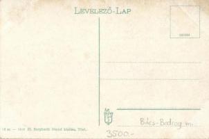 Titel, hajóállomás, selyemgyár, Szvoboda Rezső kereskedése; ifj. Burghardt Dániel kiadása / ship sta...