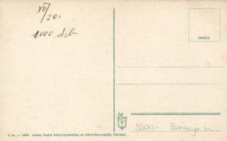 Dárda, Schaumberg-Lippa György hercegi kastély; Arady Lajos kiadása / castle