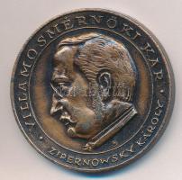 1982. "Budapesti Műszaki Egyetem / Villamosmérnöki Kar - Zipernowsky Károly" Br emlékérem ...