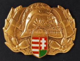 DN Tűzoltó sapkajelvény, Br (37mmx50mm) T:2