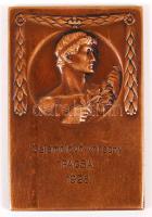 Pacsa 1928. "Galamblövő verseny" Br plakett (60mmx40mm) T:1-