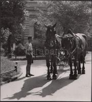 cca 1930-1940 Reich Péter Cornel: Fuvarra várva, vintage fotó, jelzetlen, a szerző hagyatékából, 19x18 cm.