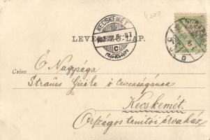 Budapest V. Váci utca, Mannheim Simon magán zálogháza, Luszt Sándor és Keszler József kereskedései; ...