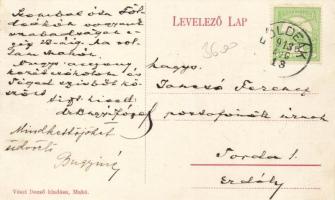 Makó, Csanád megye közkórháza; Vészi Dezső kiadása