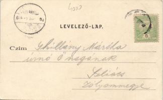 Siófok, Balatoni halászat - V. a halászat befejezése; kiadja Ellinger Ede