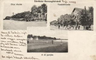 Hercegfalva, vasútállomás