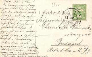 Budakeszi, Virágvölgyi utca; kiadja Szemere, Budapest